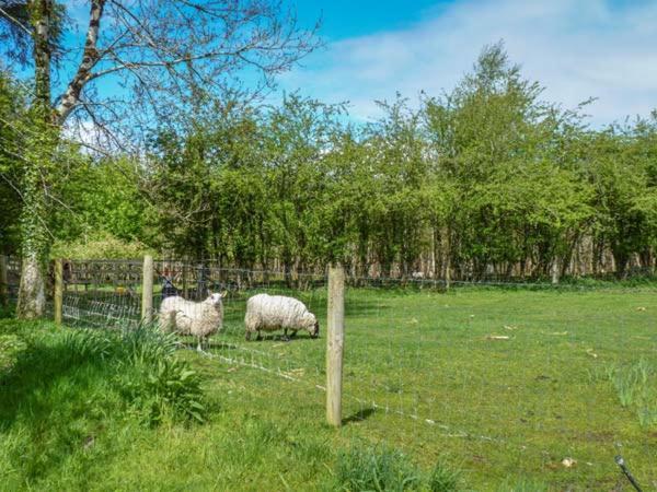 Curry Hawthorn Farm Cottage מראה חיצוני תמונה